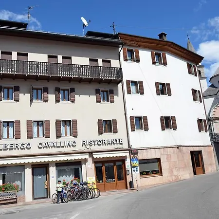 Cavallino Pieve di Cadore